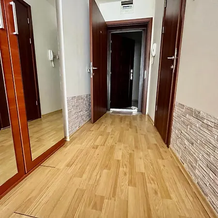 Julia Vigo Panorama Misivri