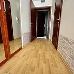 Julia Vigo Panorama 内塞伯尔